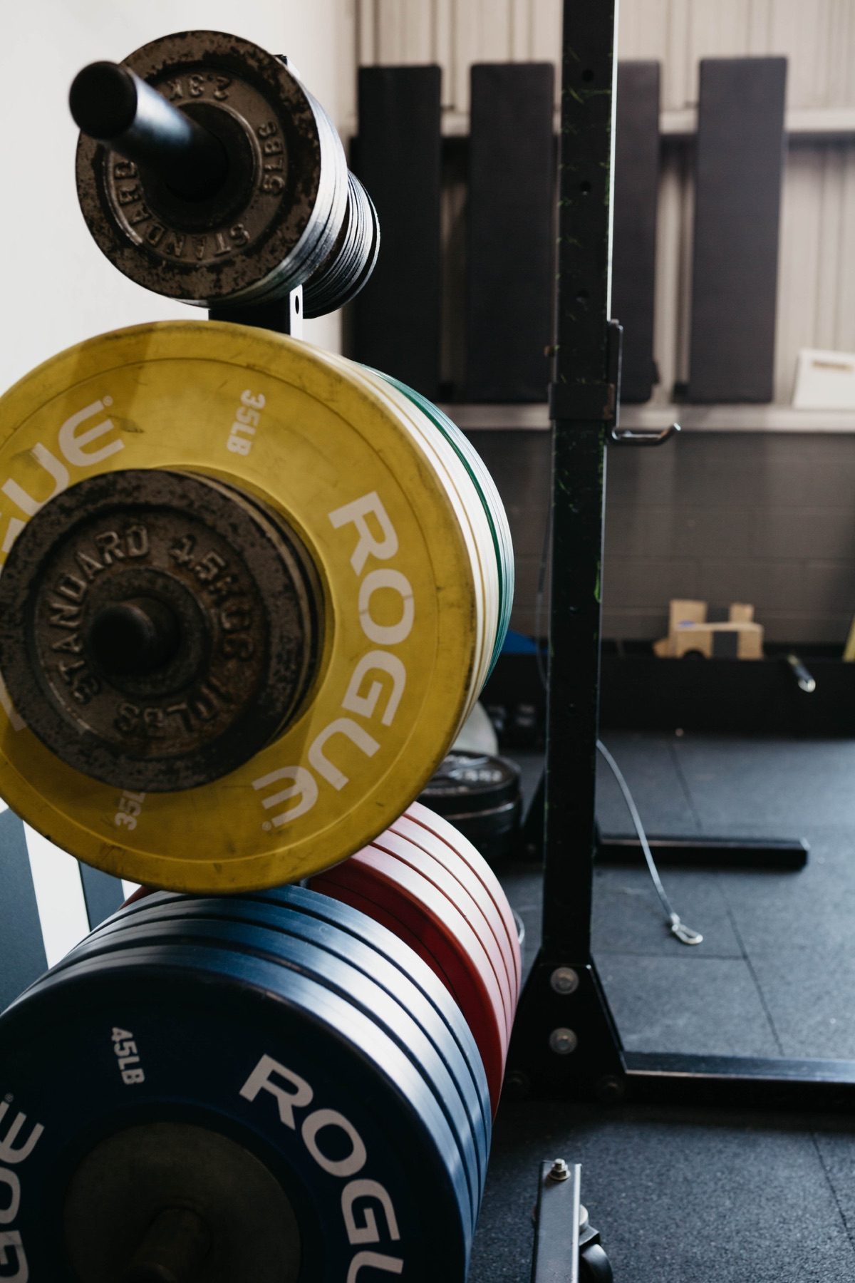 Strength training equipment at O-SEA Fit